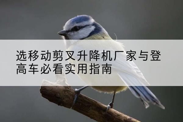 商都电动升降机厂家-选移动剪叉升降机厂家与登高车必看实用指南