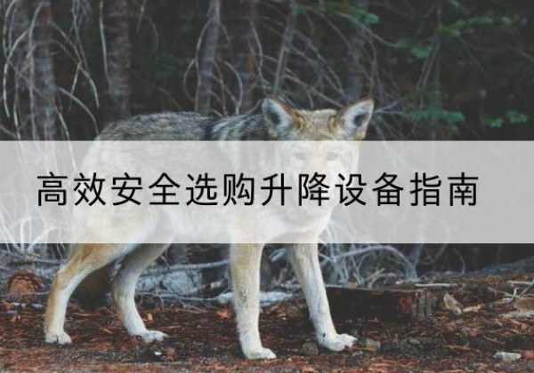 商都升降货梯厂家推荐-*安全选购升降设备指南